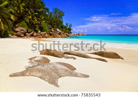 Tropical beach at island Praslin, Seychelles - vacation background