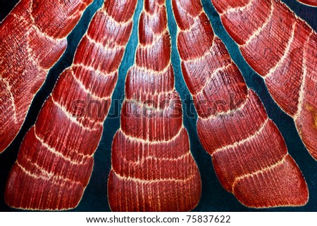 Black, red wood caused by the carved and painted with black and red background texture