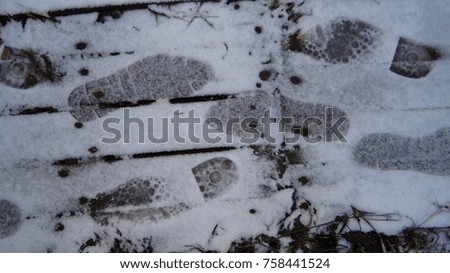 Footprints in the first snow.