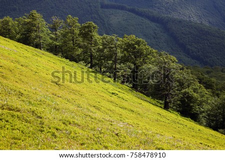Landscape of great mountains in summer in the sunny day