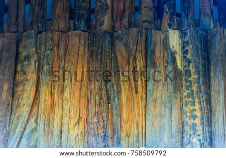 wooden background.Texture of wood.
