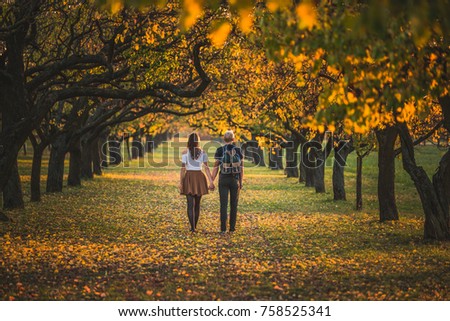 Two people in love walking together in beautiful orange nature