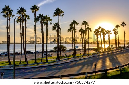 Coastal road sunset in Long Beach, California. 