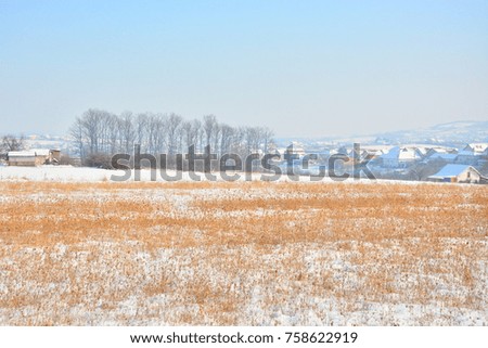 winter landscape of the forest in the distance

