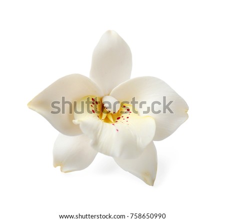 Exotic flower, isolated on white