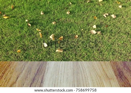 Wood board texture with green field grass background as montage picture