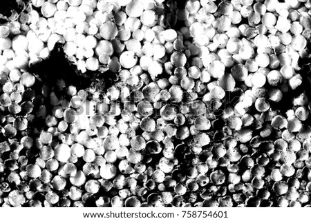 Old Styrofoam. Image includes a effect the black and white tones.