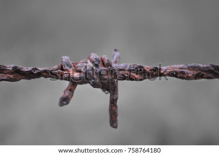 barbed wire macro