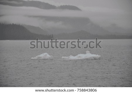 Iceberg off the Columbia Glacier, Columbia Bay, Valdez, Alaska