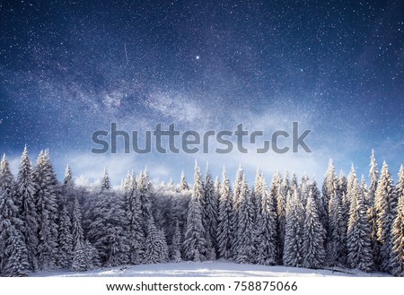 Magical winter landscape with snow covered tree. Vibrant night sky with stars and nebula and galaxy astrophoto.