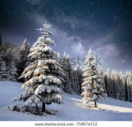 Magical winter landscape with snow covered tree. Vibrant night sky with stars and nebula and galaxy. Deep sky astrophoto.