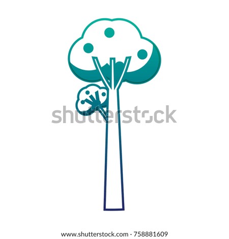 fruit tree icon over white background vector illustration