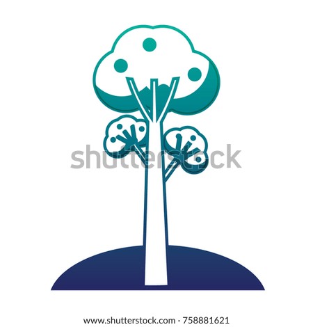 fruit tree icon over white background vector illustration