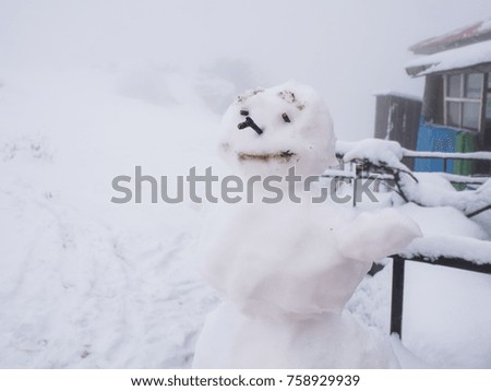 Merry christmas and happy new year greeting card with copy-space.Happy snowman standing in winter christmas landscape.Snow background. Shallow depth of field. xmas scene.