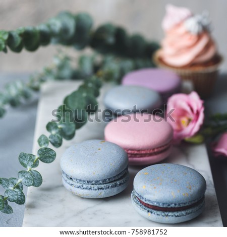 Pastel macarons or macaroon on marble table with pink flowers. French pastry. Selective focus