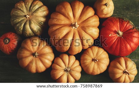 A lot of pumpkin on rustic background. Top view 