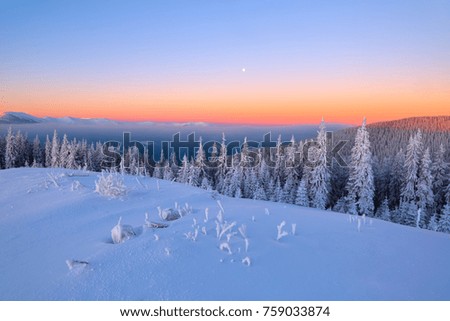 Majestic sunrise in cold winter morning. From the lawn, covered with snow, a panoramic view of the covered with frost trees, fog, tall, mountains. Location place Carpathians, Ukraine, Europe.