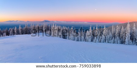 Majestic sunrise in cold winter morning. From the lawn, covered with snow, a panoramic view of the covered with frost trees, fog, tall, mountains. Place for tourists rest Carpathians, Ukraine, Europe.