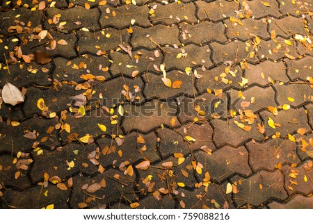 Orange and red autumn leaves scattered on ground. Concrete texture with worm stone. 