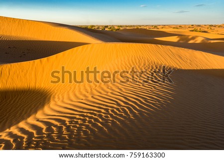 Sunrise makes nice patterns at the dunes (Sahara) at Mhamid, Morocco