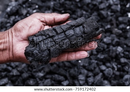 Coal mining - Man hand holding natural black charcoal for background. Picture idea about coal mining, coal processing, energy source, environment protection. Industrial coals. Forest conservation