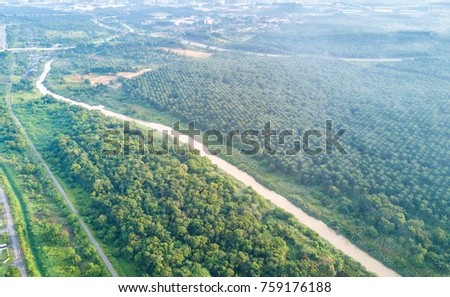 Aerial view of village plantation.