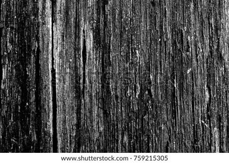 Wooden background. Monochrome texture. Image includes a effect the black and white tones.