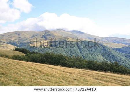 Carpathian Mountains Forest Forests Hoverla Clouds