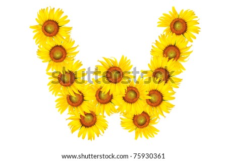 Beautiful yellow Sunflower alphabet, isolated. W