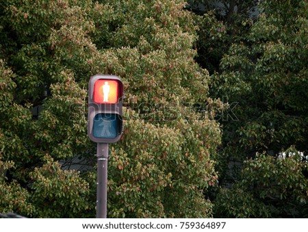 Stop red light traffic sign in a forest