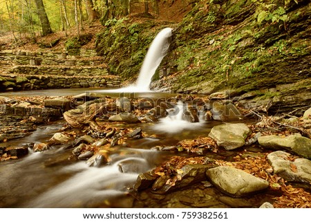 Autumn mountain waterfall stream in the rocks with colorful red fallen dry leaves, natural seasonal background