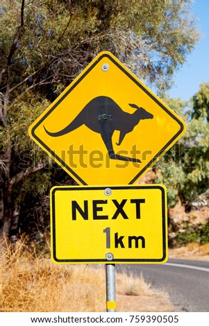 in australia  the sign for wild kangaroo  likee  concept of safety