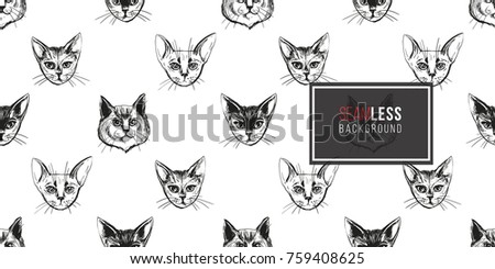Detailed realistic hand drawn norwegian and abyssinian cat portrait. Vector illustration. Black pattern on white background
