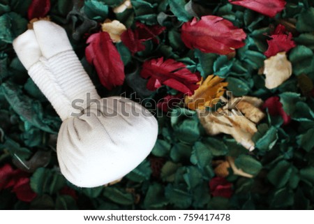 Herbal compress for relieve fatigue on dry leaves and flowers copy space, Spa theme concept 