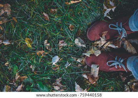 Shoes on green grass. Yellow dry leaves on grass near shoes. Rustling his feet against the fallen yellowed leaves. Fallen maple leaves. A picture on your desktop