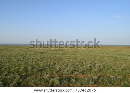 Green hills field
