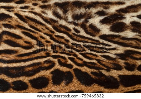 leopard skin background texture