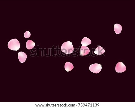 Flying Rose Petals Confetti. Vector Realistic Blossom Illustration. Love, Wedding, Valentine Decoration, Japanese Sakura Ornament. Falling Down Rose Petals Confetti, Magic Showering Floral Background.