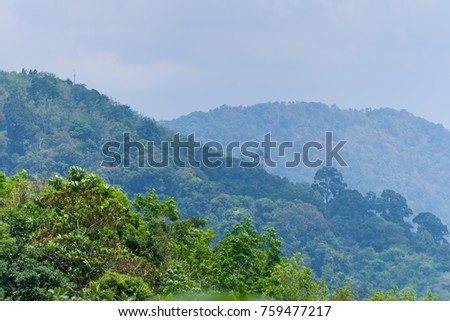 Three tropical green hills. Foreground camera focus