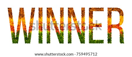 winner word is written with leaves white isolated background, banner for printing, creative illustration winner colored leaves.