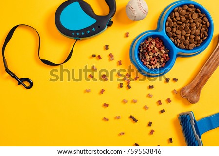 Pet accessories, food, toy. Top view Royalty-Free Stock Photo #759553846