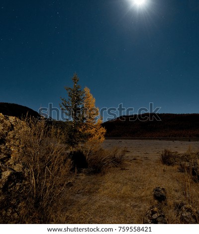 Russia. Siberia. Moonlight night in the Altai Mountains