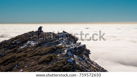 Photographer on top of mountain over the clouds enjoying the view. Success concept on a stone cliff.