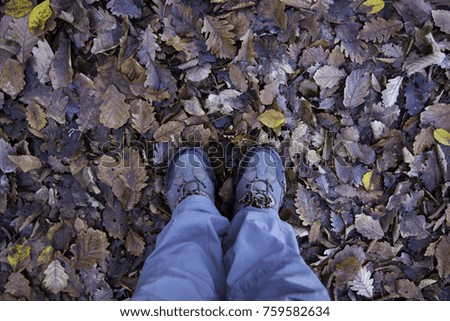 Legs and shoes of a boy on autumn leafs
