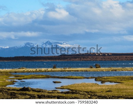 Puerto Natales  - beautiful southern chilean town with great landscapes