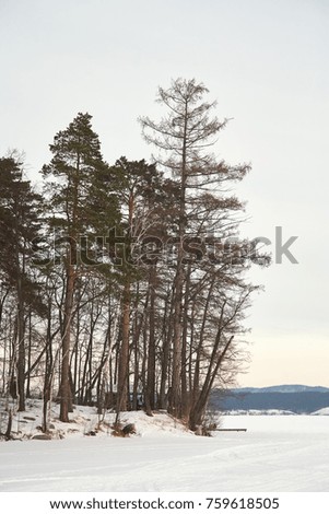scenic winter landscape background. trees and snow