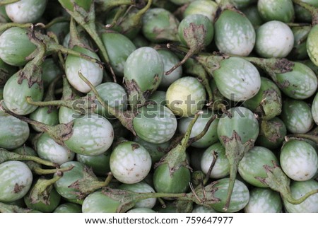Green eggplant Fruit or Vegetable gives Vitamin A for you