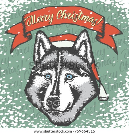 Christmas Vector siberian husky. Hand draw husky. Hand draw vector illustration. Husky in Santa hat