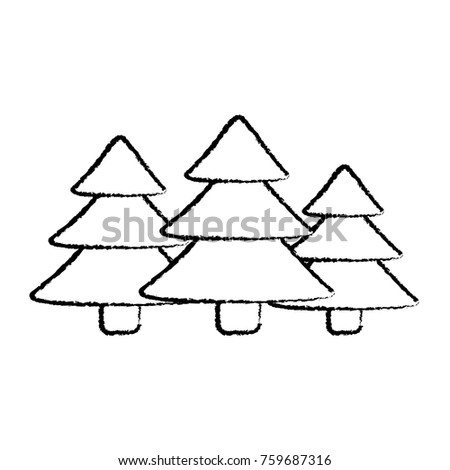 pine tree icon image 