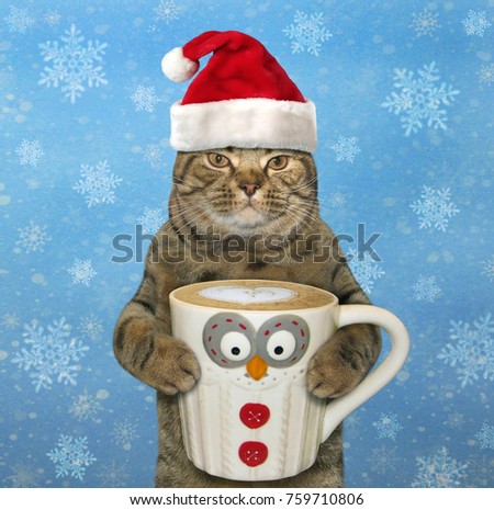 The cat in Santa Claus hat holds a big cup of black coffee.